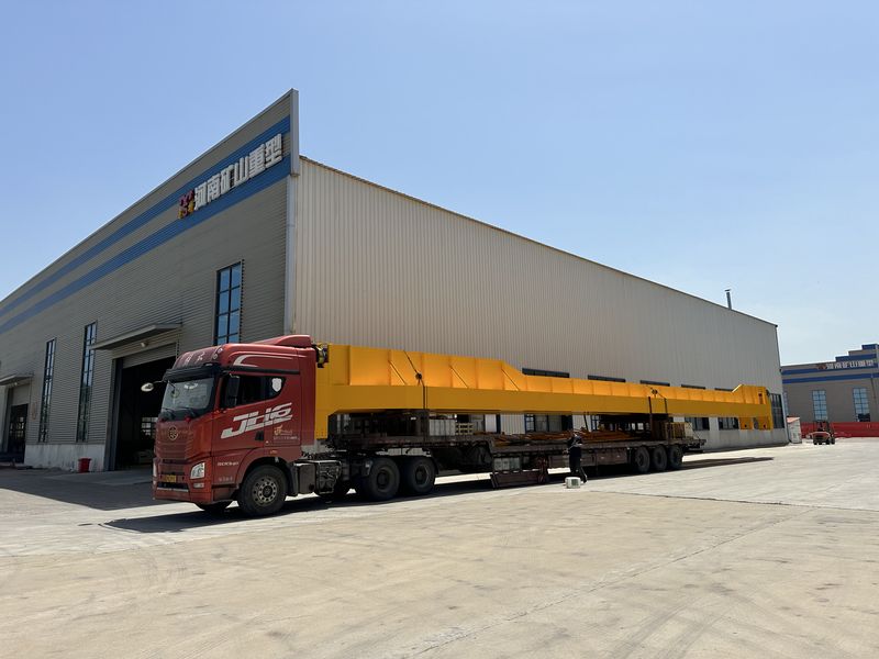 龍佰集團選用我公司QD25/5t，跨度28.5m通用橋式起重機